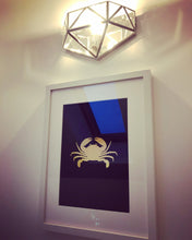 Load image into Gallery viewer, Crab Under The Sea Collection A4 Gold Foil Print
